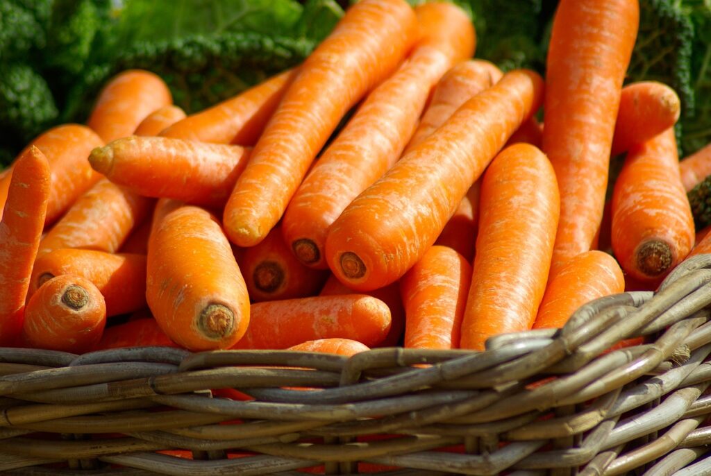 Cenouras, origem e benefícios
