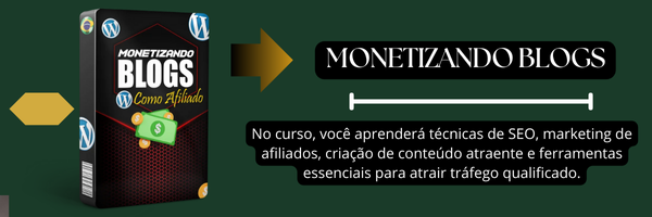 MONETIZANDO BLOGS