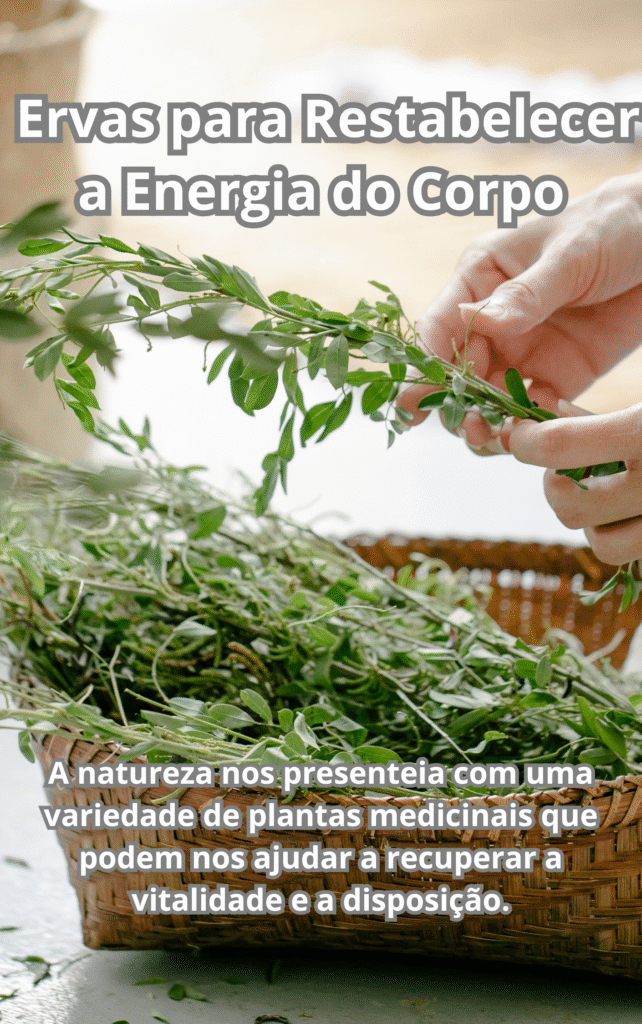 A Amora e suas propriedades Medicinais. 1