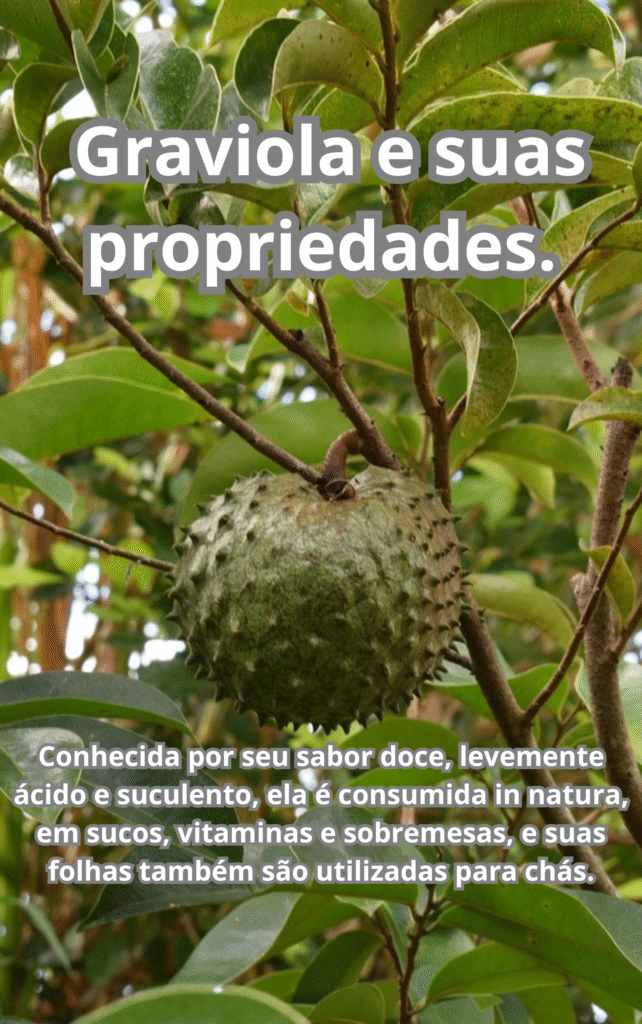 Graviola e suas propriedades