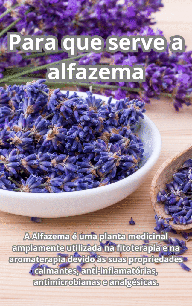Para que serve a alfazema