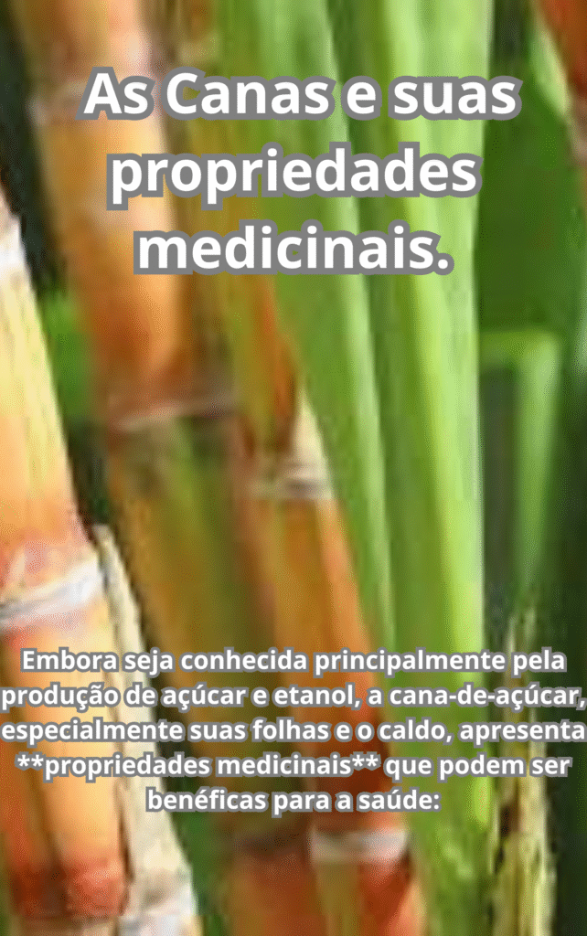 As Canas e suas propriedades medicinais