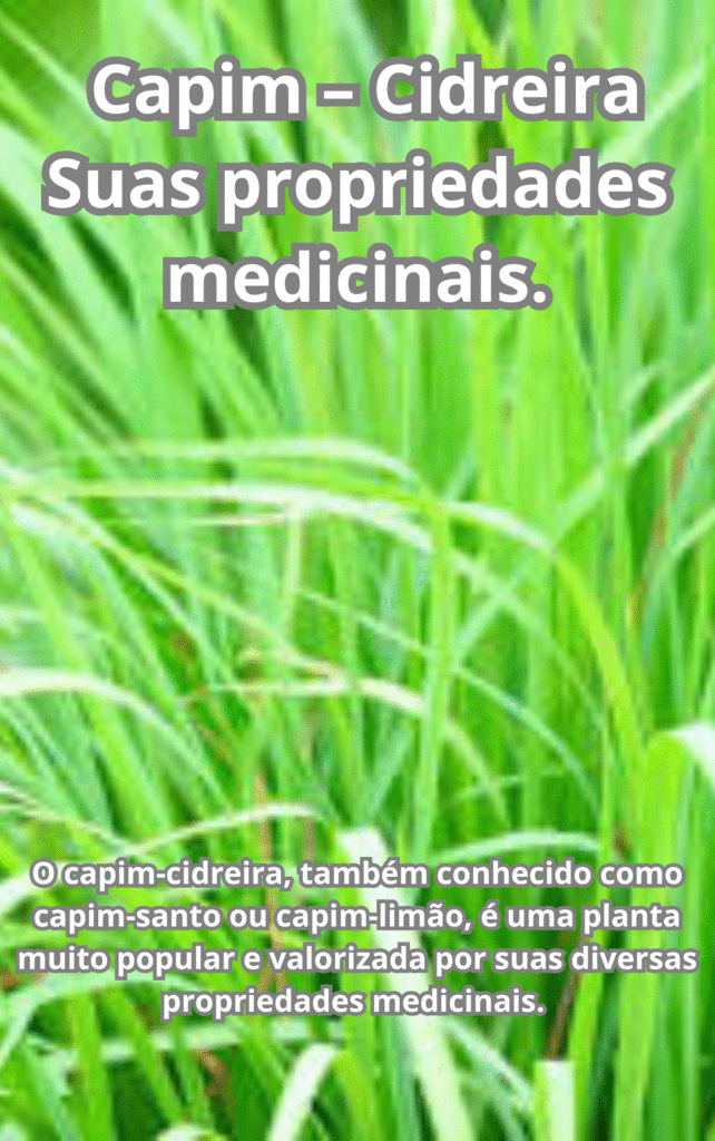 Capim – Cidreira Suas propriedades medicinais