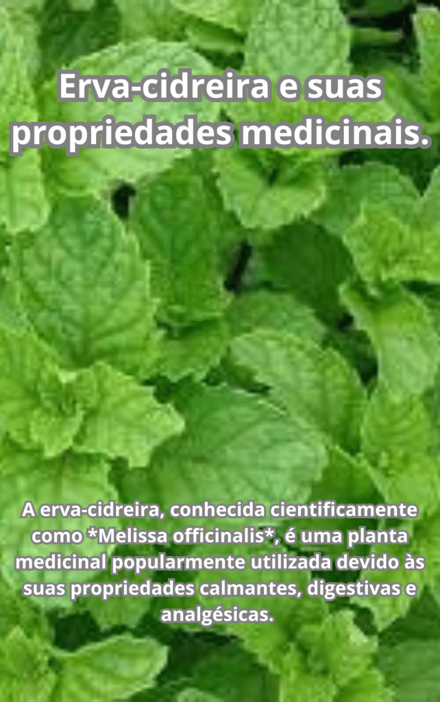 Erva cidreira e suas propriedades medicinais