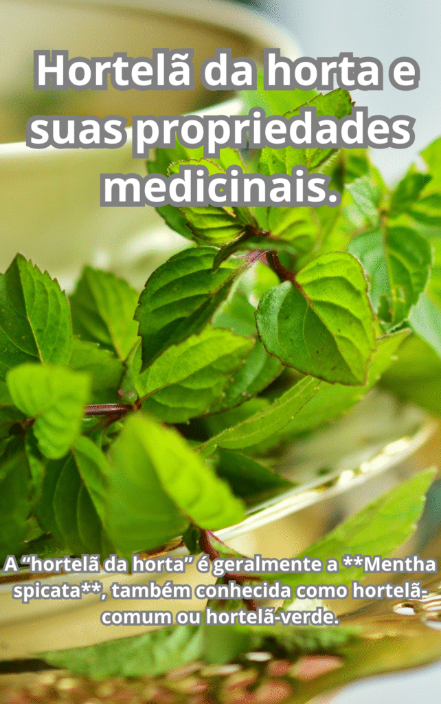 Hortela da horta