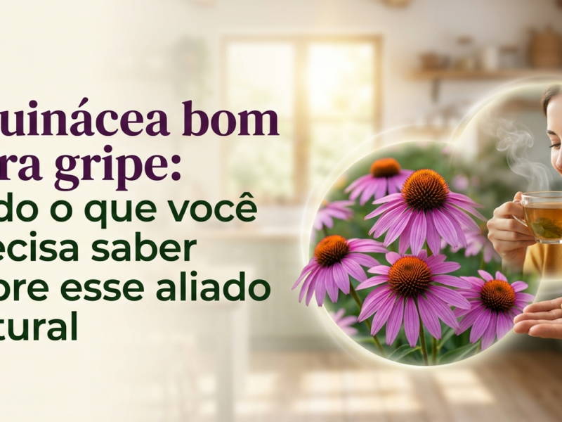 Equinácea para gripe.